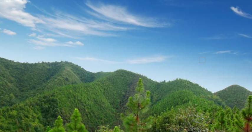 山西省某林业碳汇碳汇项目