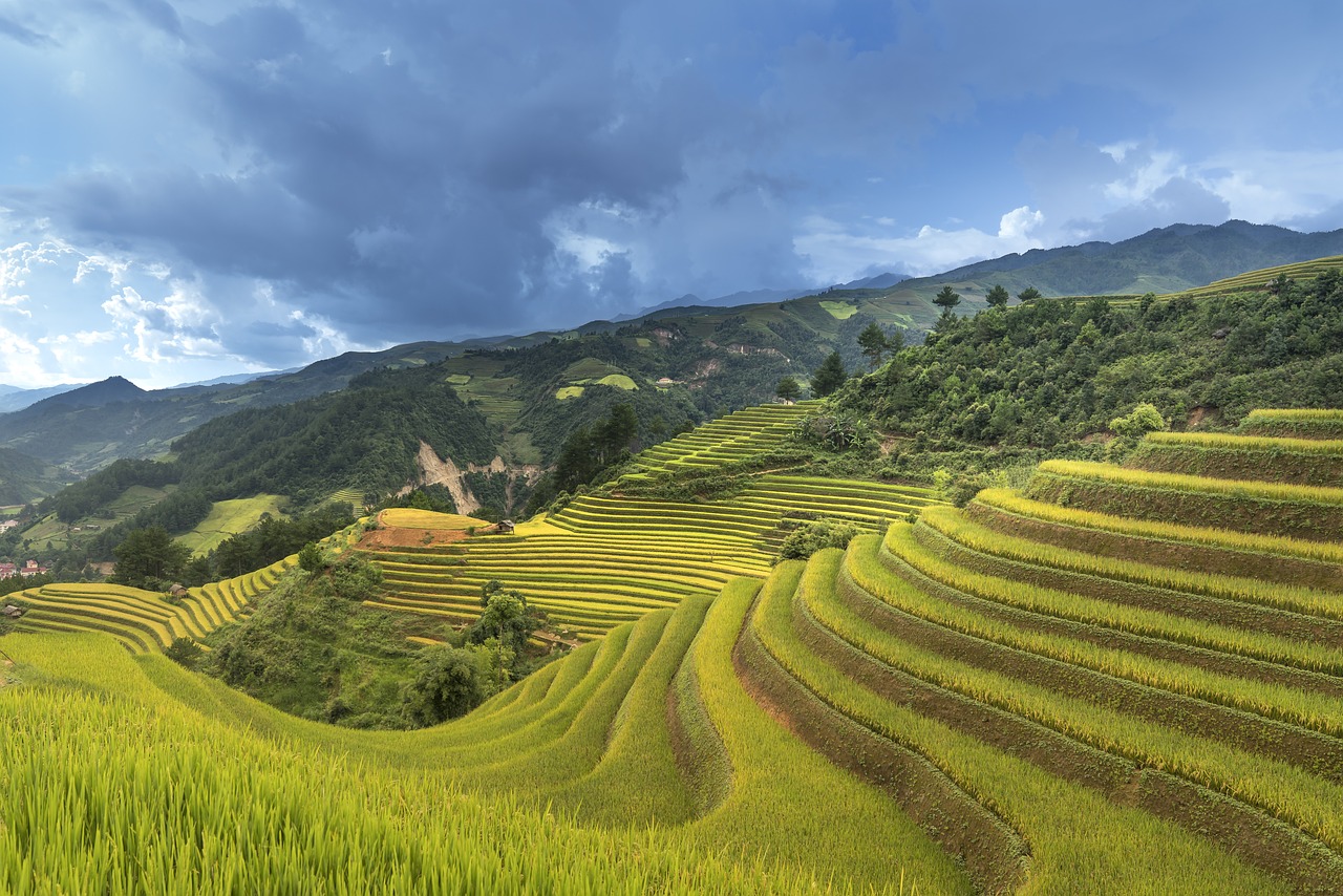 vietnam-3059666_1280.jpg