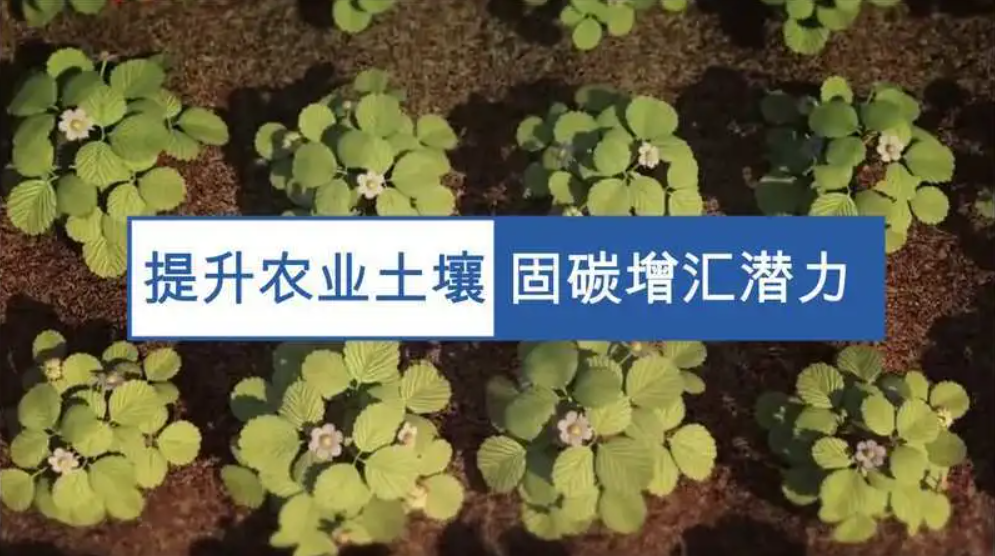 到2050年我国土壤固碳潜力超400亿吨，土壤碳汇试水黑土地