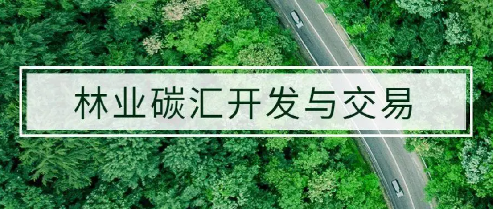 林业碳汇项目开发有哪些流程？