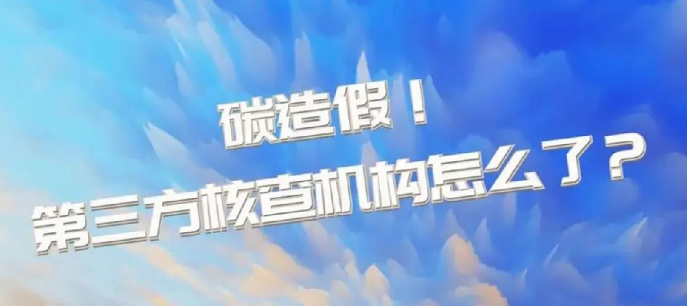 如何从源头遏制碳市场数据造假？