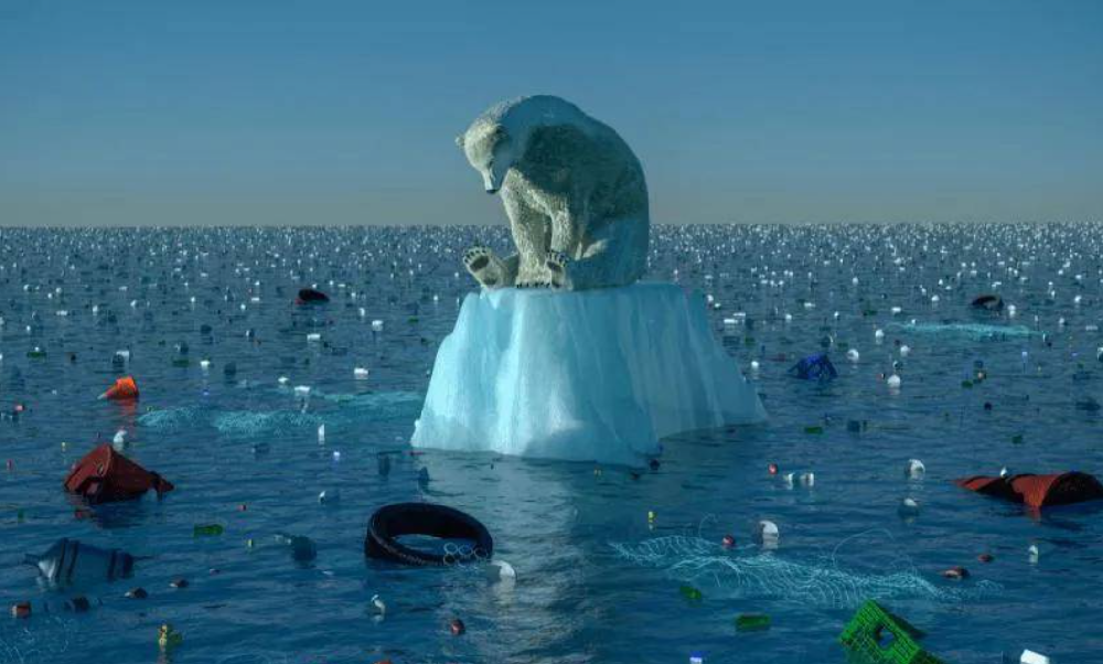 你了解水体水体碳排放吗